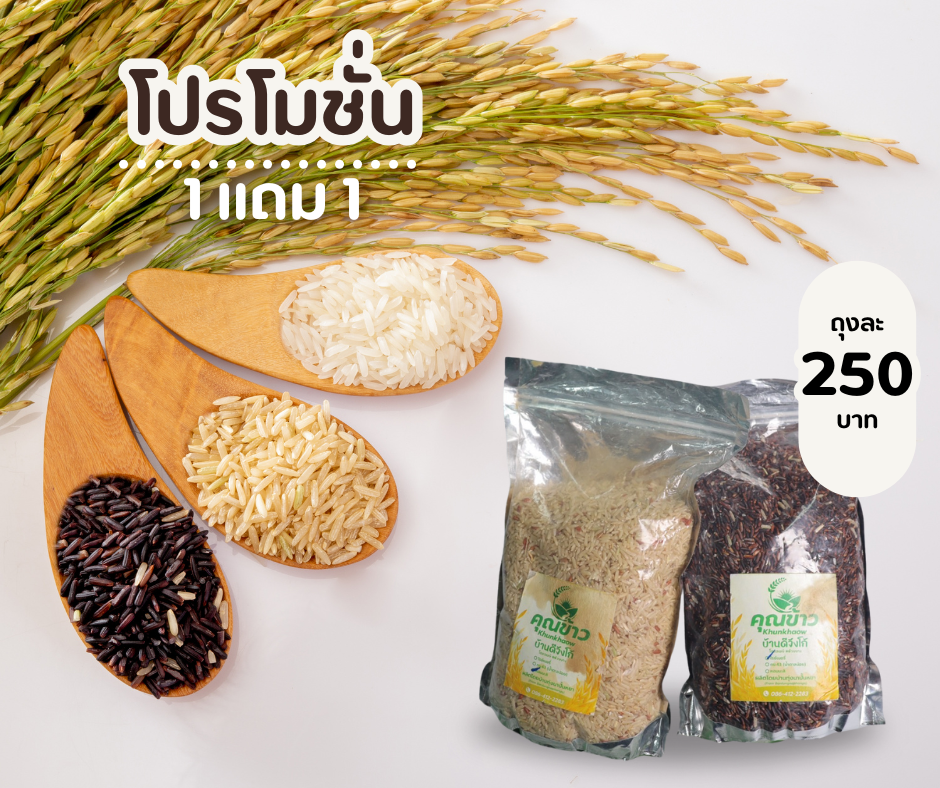 🌾 โปรดี๊ดี! ข้าวคุณภาพ 1 แถม 1 🌾